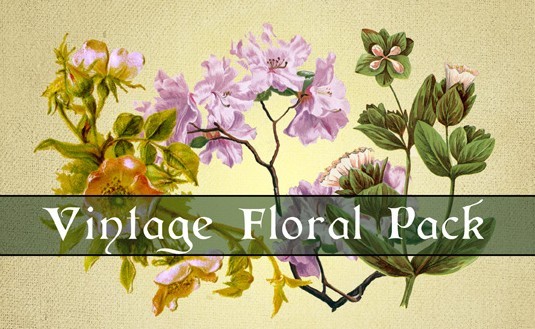 Vintage Floral Pack PSD