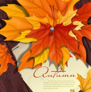 Hand Painted Autumn Maple Leaves Background Vector 05