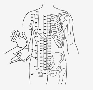 TCM Acupuncture Points Chart Vector