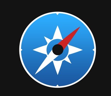 Round Safari & Compass Icon