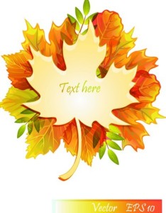 Autumn Yellow Maple Leaf Design Vector 07