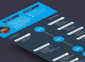 Flat Blue Resume Template PSD