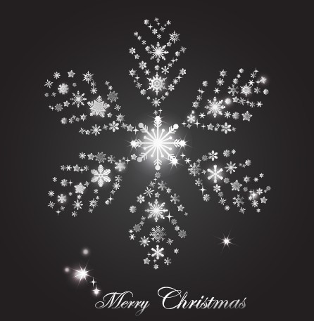 Bright White Snowflake For Christmas Design Vector