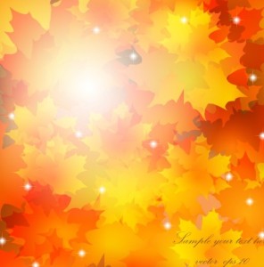 Shiny Fall Yellow Maple Leaves Vector