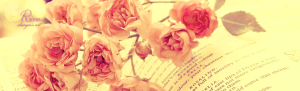 Rose Book Background PSD