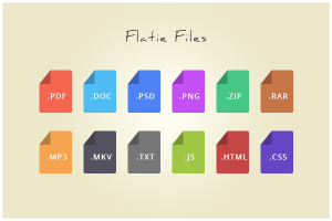 12 Flat File Type Icons PSD