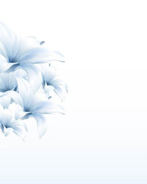 Fresh Flower Background Vector 05