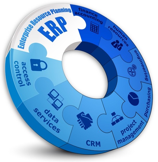 Ring Chart Enterprise Software Infographic Vector