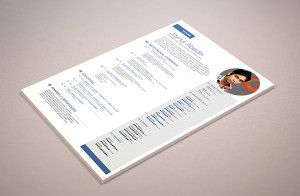 Simple Professional Resume Template PSD