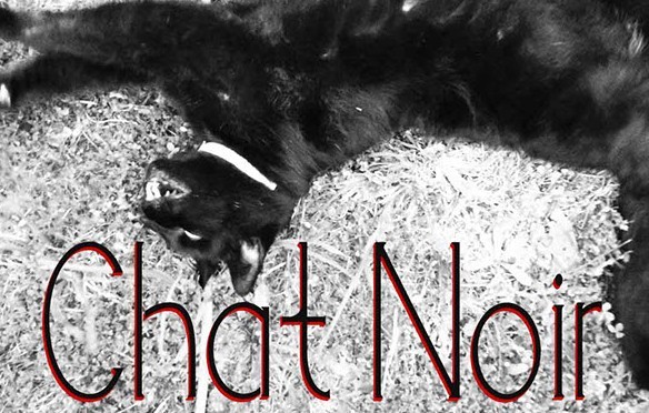 Chat Noir Font