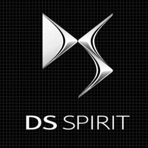 DS Spirit Logo Template Vector