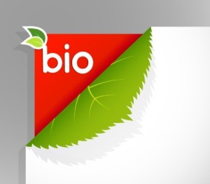 Green leaf BIO Card Vector