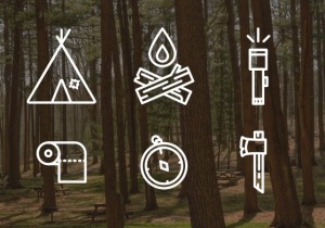 6 Camping Icons Vector