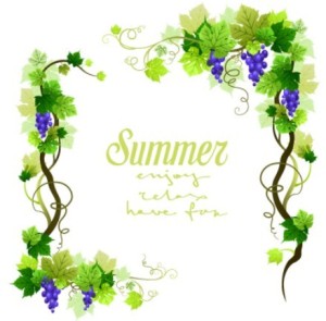 Summer Grapevine Frame Vector