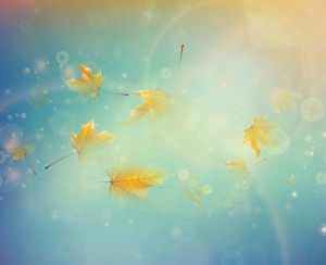 Autumn Falling Leaves Background Vector