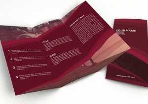 Creative Red Trifold Brochure PSD