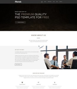 MAIRALA One Page Corporate Agency PSD Template