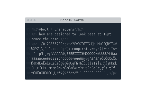 Mono16 Programming Font