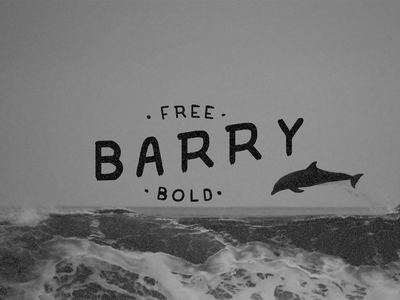 Barry Font