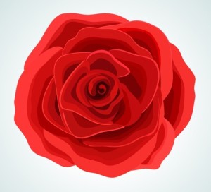 Red Rose Flower Vector Illustration