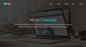 Threeangle Landing Page Template PSD