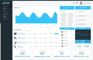 PARINA Admin Dashboard Template PSD