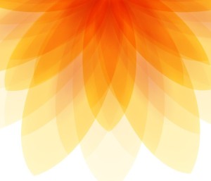 Abstract Orange Flower Vector