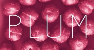 Plum Display Font