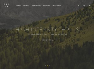 Retina Ready Portfolio Web Template PSD