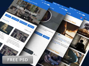 Social Network UI Kit PSD