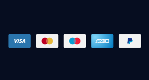 5 Minimal Credit Card Vector Icons