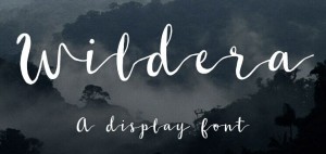 Wildera Brush Font