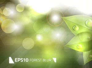 green-forest-blur-vector-background