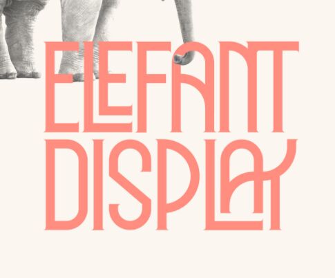 Elegant Display Font