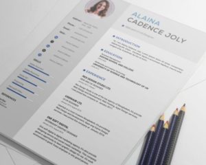 Professional Resume With Cover Letter Template PSD