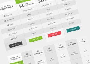 Flat Pricing Table & Comparison Table PSD Template