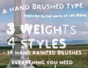 Quite Blankly Brush Typeface