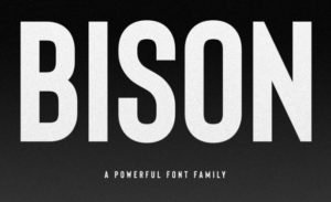 Bison Bold Font