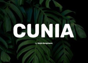 Cunia Rounded Display Font