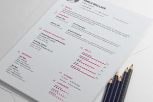 Professional Resume CV Cover Letter Mockup PSD