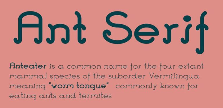 Ant Serif Font