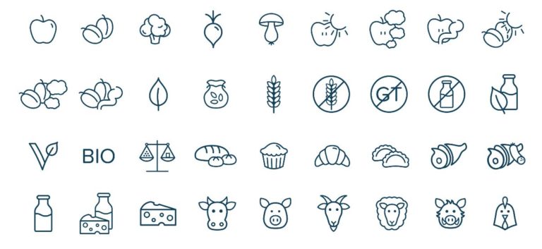 36 Healthy Food Icons Vector