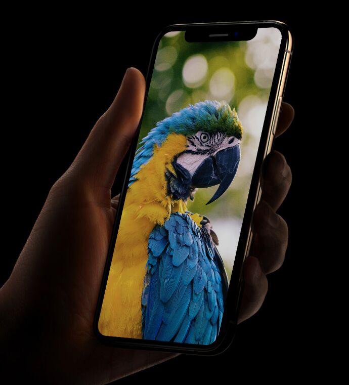 iPhone XS In Hand Mockup PSD