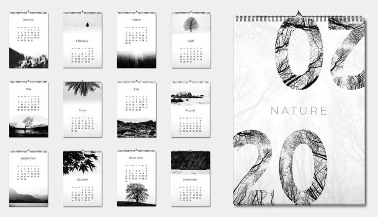 Minimal 2020 Nature Calendar PDF