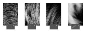 4 Hair Brushes For Photoshop