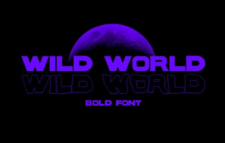 Wild Word Display Typeface