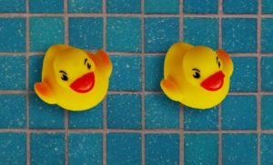 Rubber Duck PSD Template