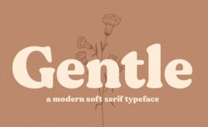 Gentle Modern Typeface