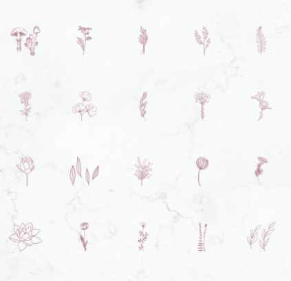 20 Botanical Instagram Highlight Covers Vector