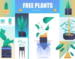 House Plant Illustrations Vector